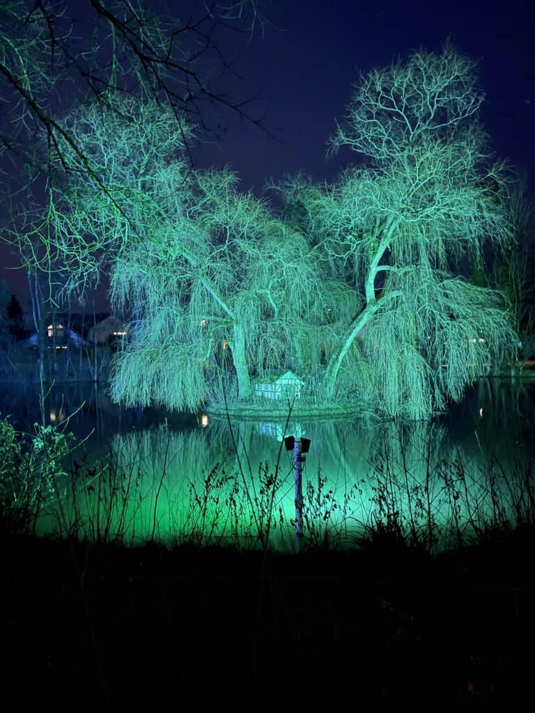 Foto aus Bad Rothenfelde Wasser und Hängeweide 