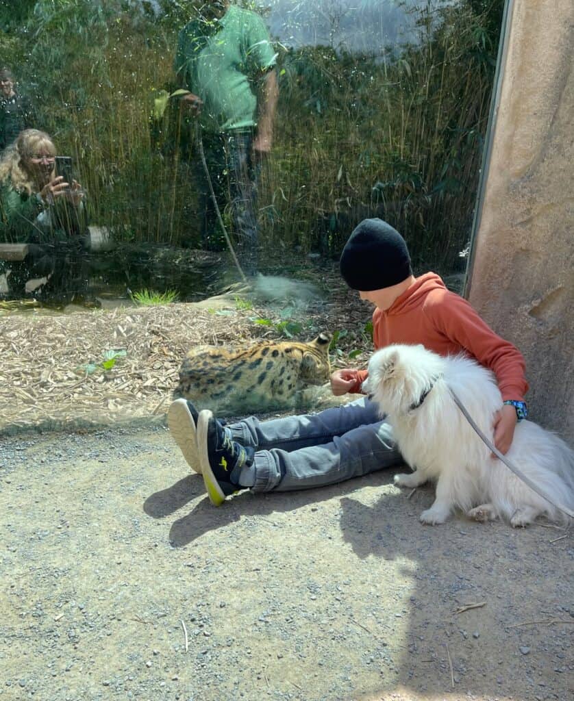 Im Zoo von Osnabrück vor einem Tiergehege