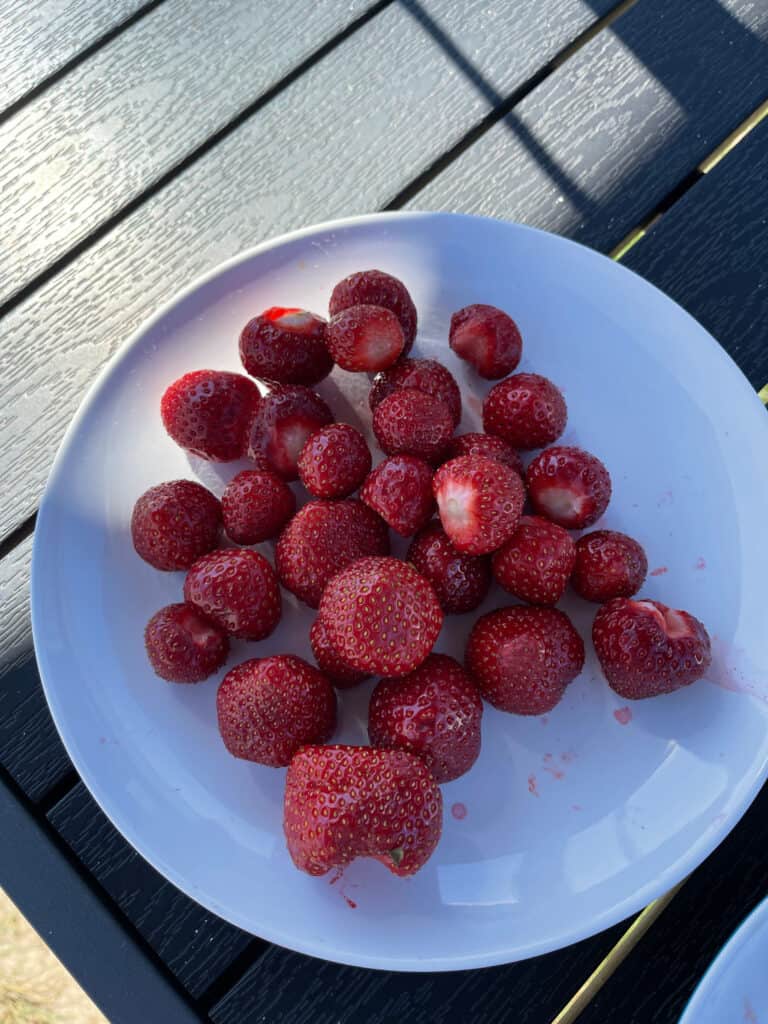 Ein Teller mit frischen Erdbeeren