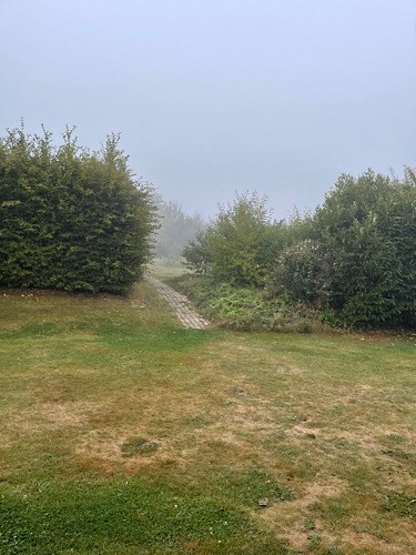 Blick in den Garten im Nebel