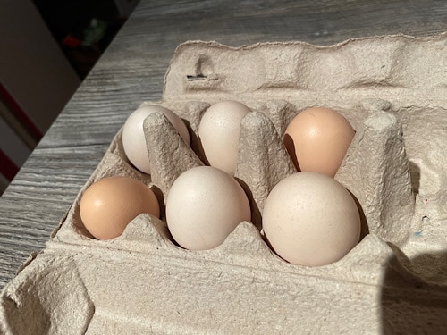 Kiste mit 6 Eiern Bio 