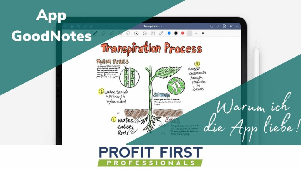 App GoodNotes
