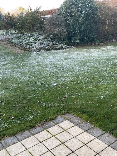 Rasen mit Schnee