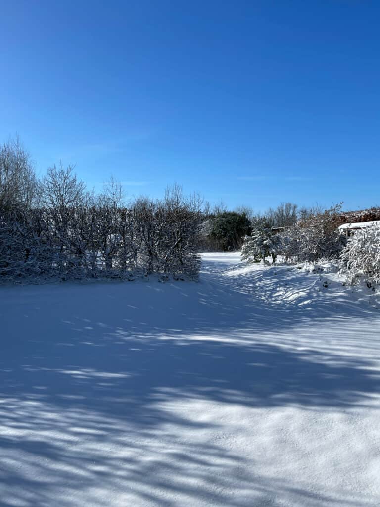 Landschaft mit Schnee bedeckt