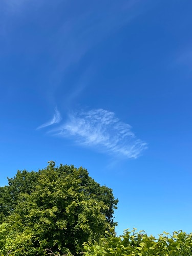 Blauer Himmel mit Wolken die aussehen wie ein Fisch