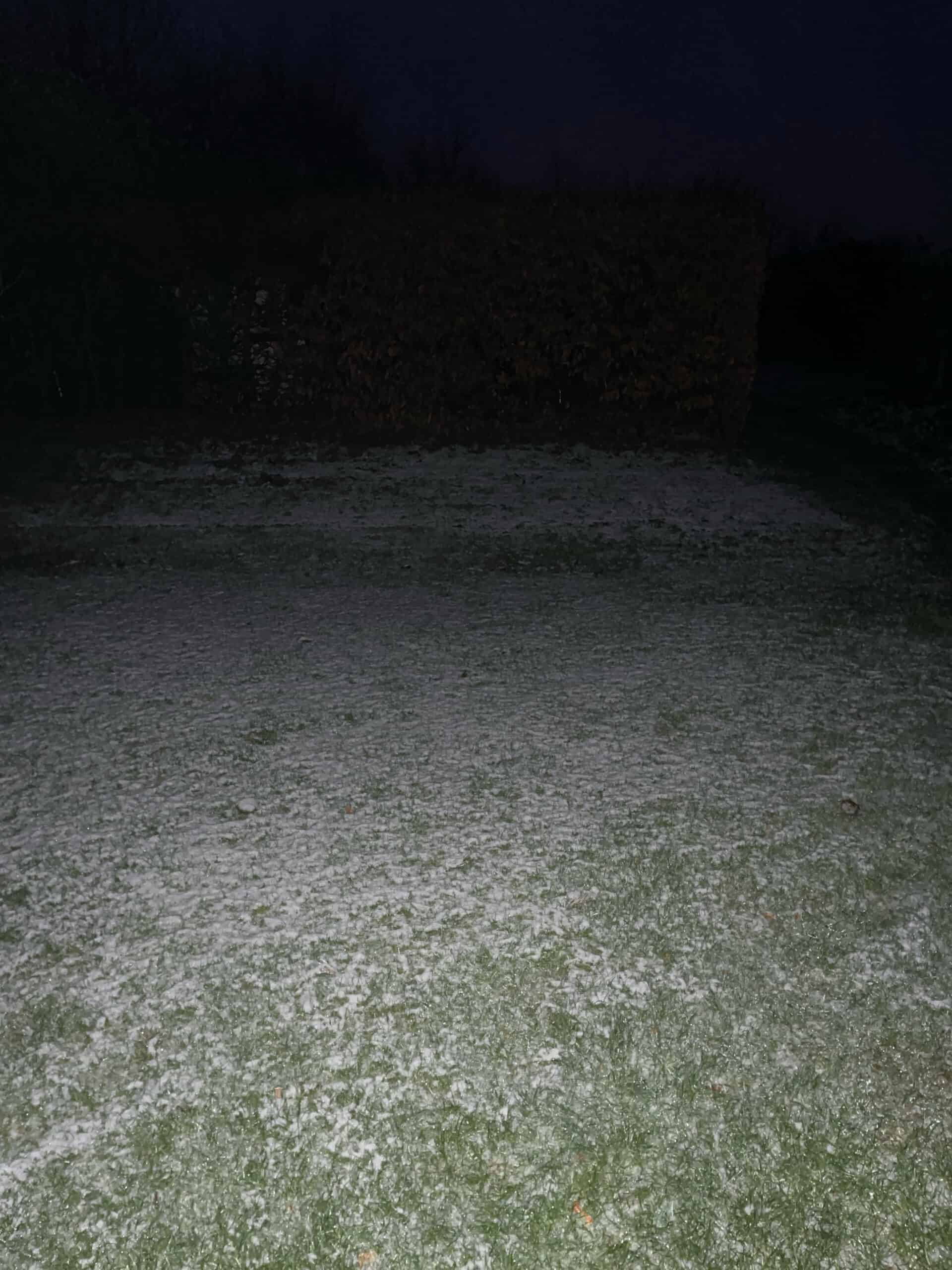 IMG_2024-01-12-185923 Garten mit Schnee bedeckt